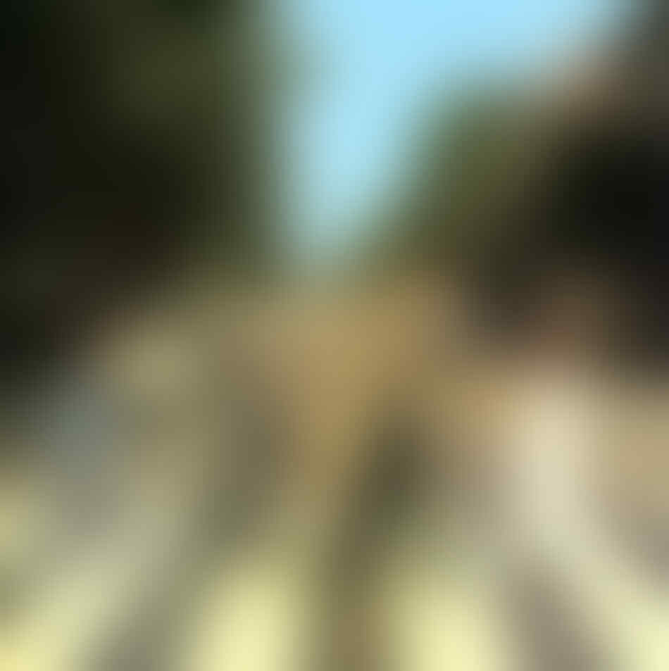 21 Jalan Paling Mengesankan di Dunia