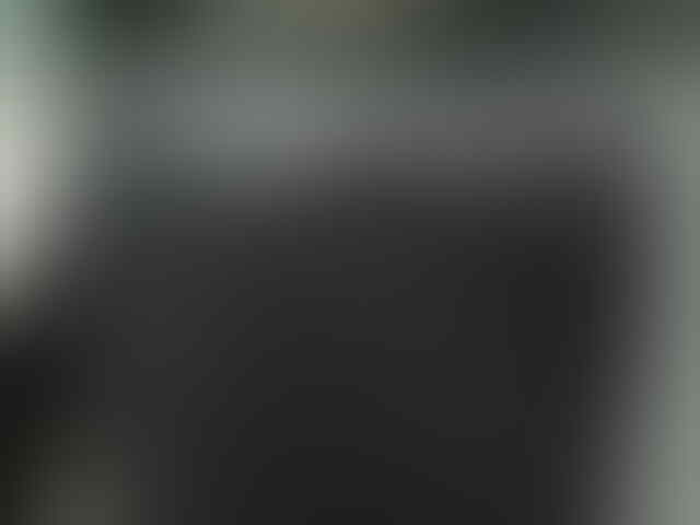 Kumpulan Testimonial squid | tokosquid.com