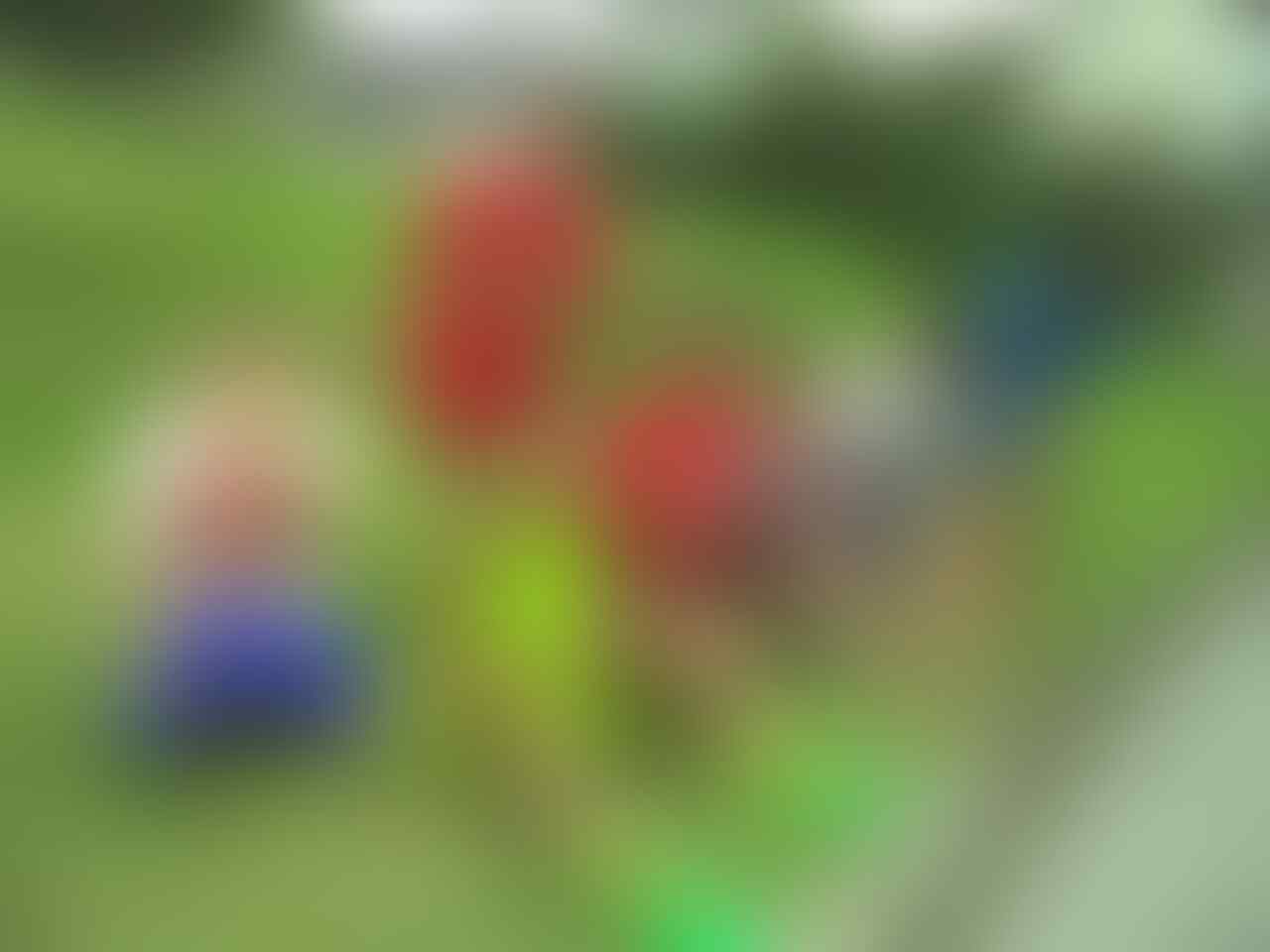 Konsumsi Makanan Ini Sebelum Berolahraga