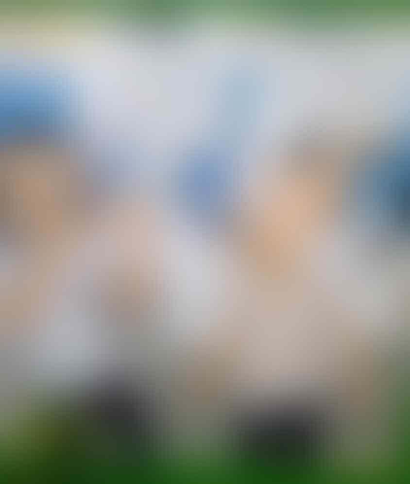 Share Komik Lucu Benny And Mice Part 10 KASKUS