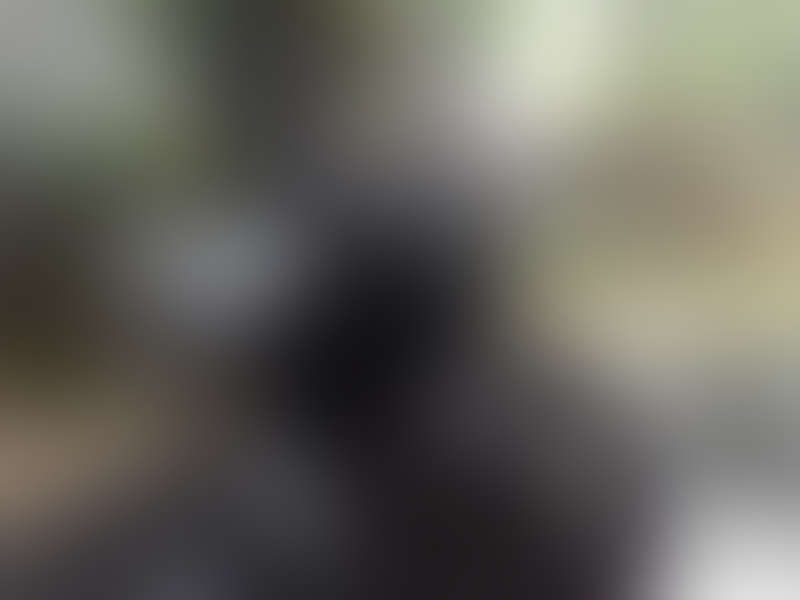 Kawasaki Ninja RR 150 new SE White good condition