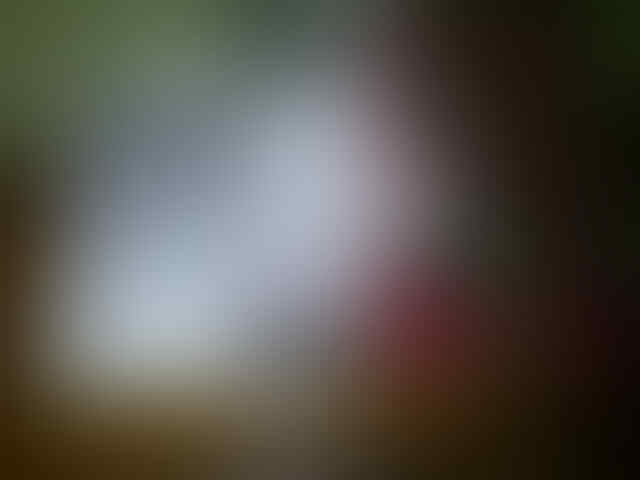 kaskus-image
