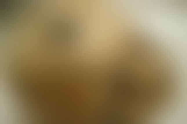 10 Hal Aneh yang Pernah Dipakai untuk Menyembuhkan Penyakit