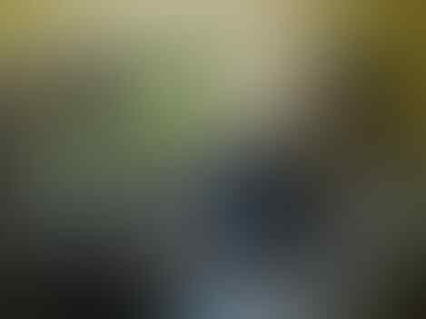==++ TAKWER TESTIMONIAl ++==