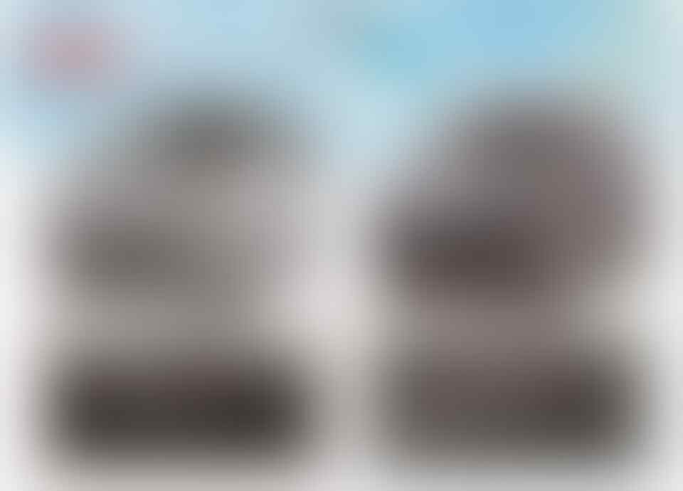 daihatsu ayla xenia terios sirion new luxio gran max pu/box/bv dp angsuran murah.