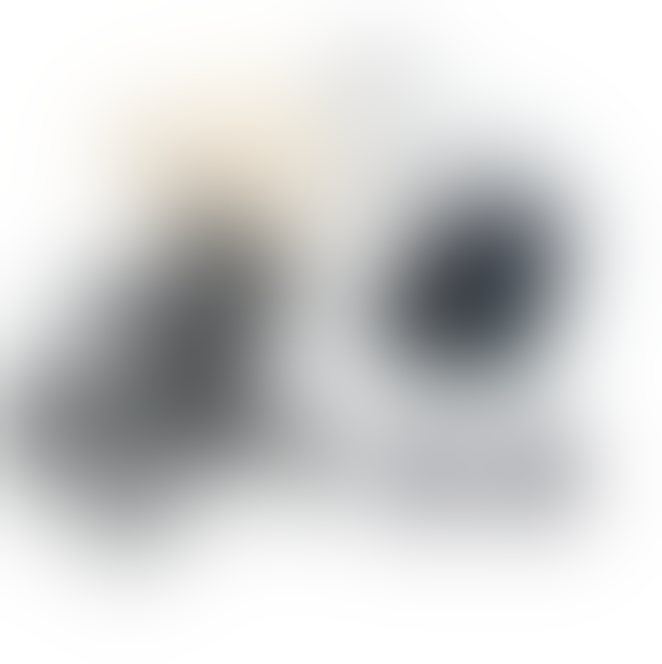 STROLLER BUGABOO BEE PLUS 2013 NEW