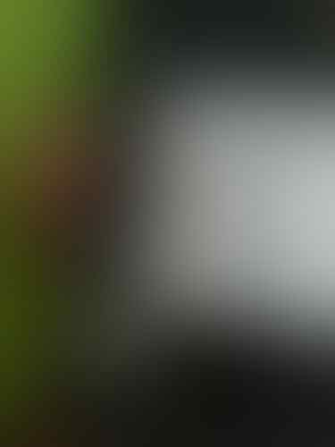 Samsung Galaxy Note 2 GT-N7100 Gray Segel SEIN Murah BANDUNG