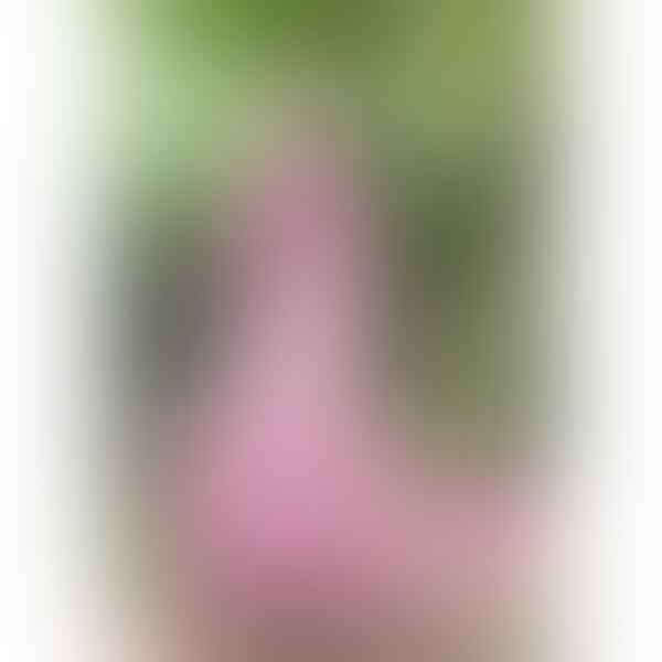 Dress Murah (masuk sista!!)