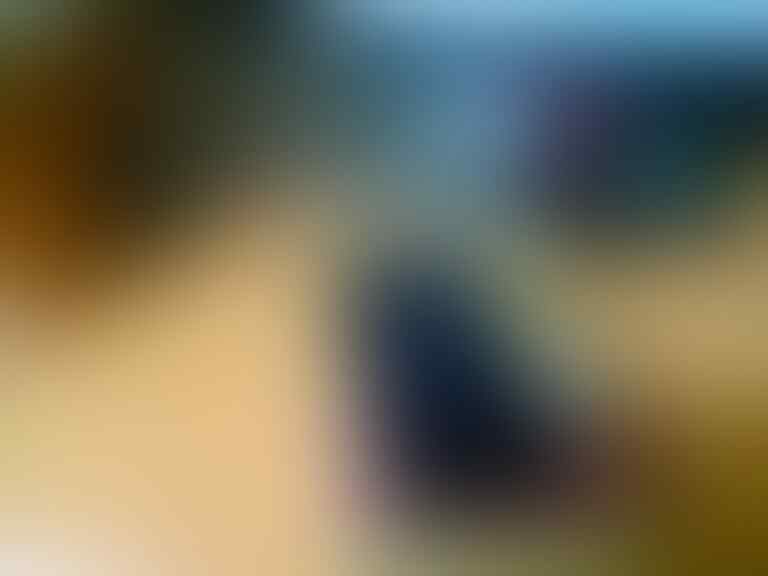 Xiaomi camera action, basic edition