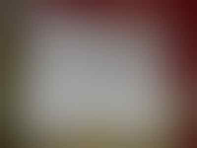 (PriaAjaib) BlackBerry: Flipshell Z10, Pouch Dakota. Xperia L: Nillkin Victory, UME