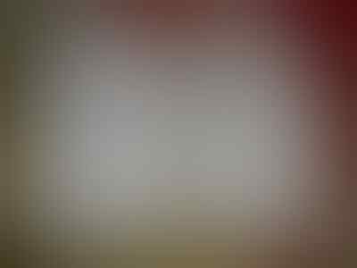 (PriaAjaib) BlackBerry: Flipshell Z10, Pouch Dakota. Xperia L: Nillkin Victory, UME