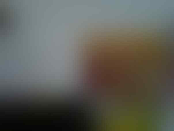 PARABOLA TRANSVISION ( Chanel HD , Decoder mpg4 Samsung, Mewah )