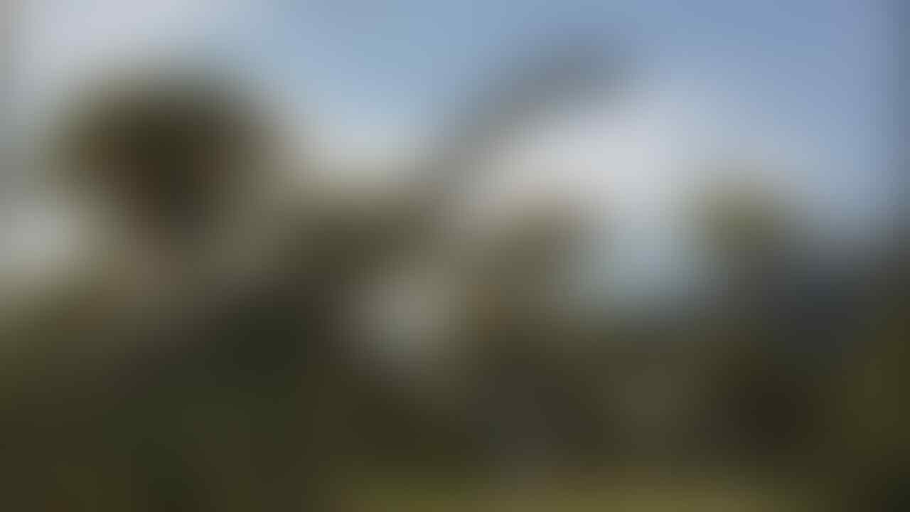 kaskus-image
