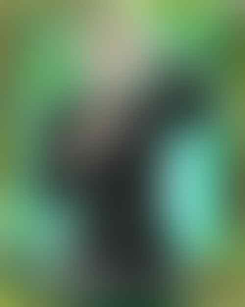kaskus-image