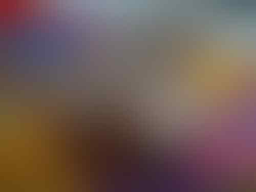 Xiaomi camera action, basic edition