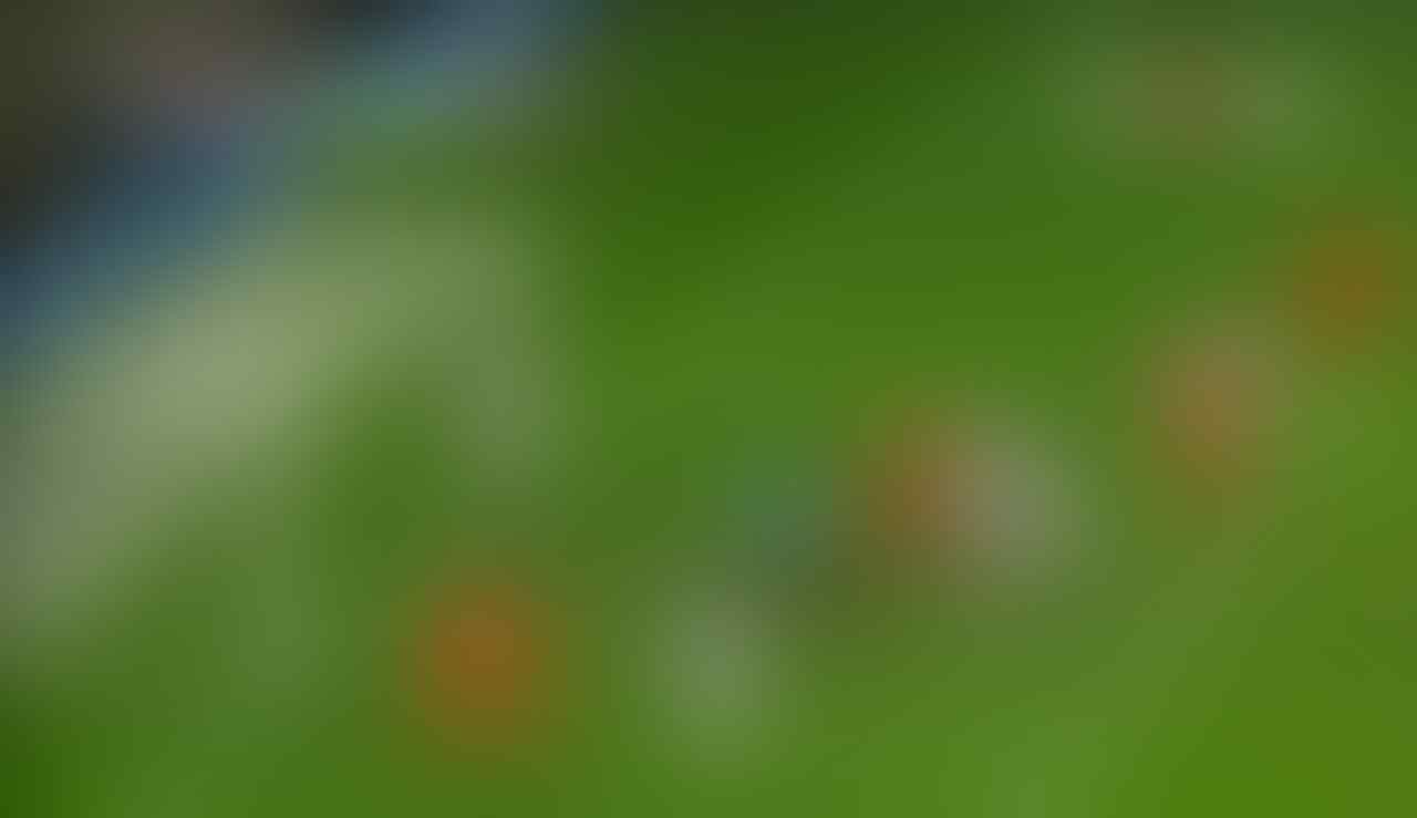 Daftar Stasiun Tv Digital Wilayah Cirebon / Daftar Siaran ...