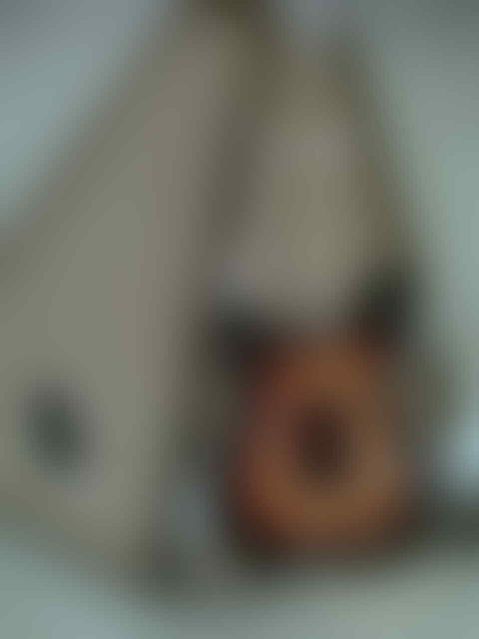 Gitar Legacy Stratocaster eks gramedia