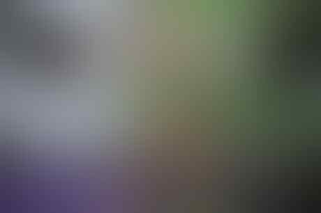Astaga, CEWEK CANTIK HAMIL NEKAT XXXXXT