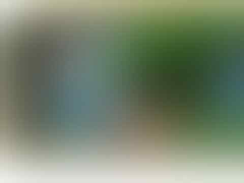 Iphone 4 32 gb error layar blank