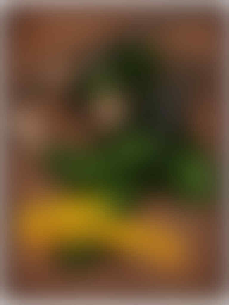 Superhero Asli Indonesia Yang Harus Agan Ketahui KASKUS Superhero Asli Indonesia Yang Harus Agan Ketahui KASKUS