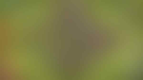 jual ID clash of clans (coc) townhall 8