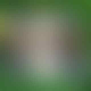 Jual Sendal Fitflop Murah Meriah Masuk Gan