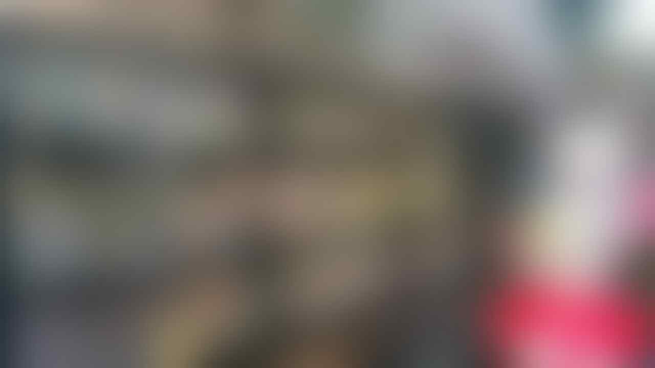 Beli: Mainan dan perlengkapan anak dan bayi GROSIR / tangan pertama