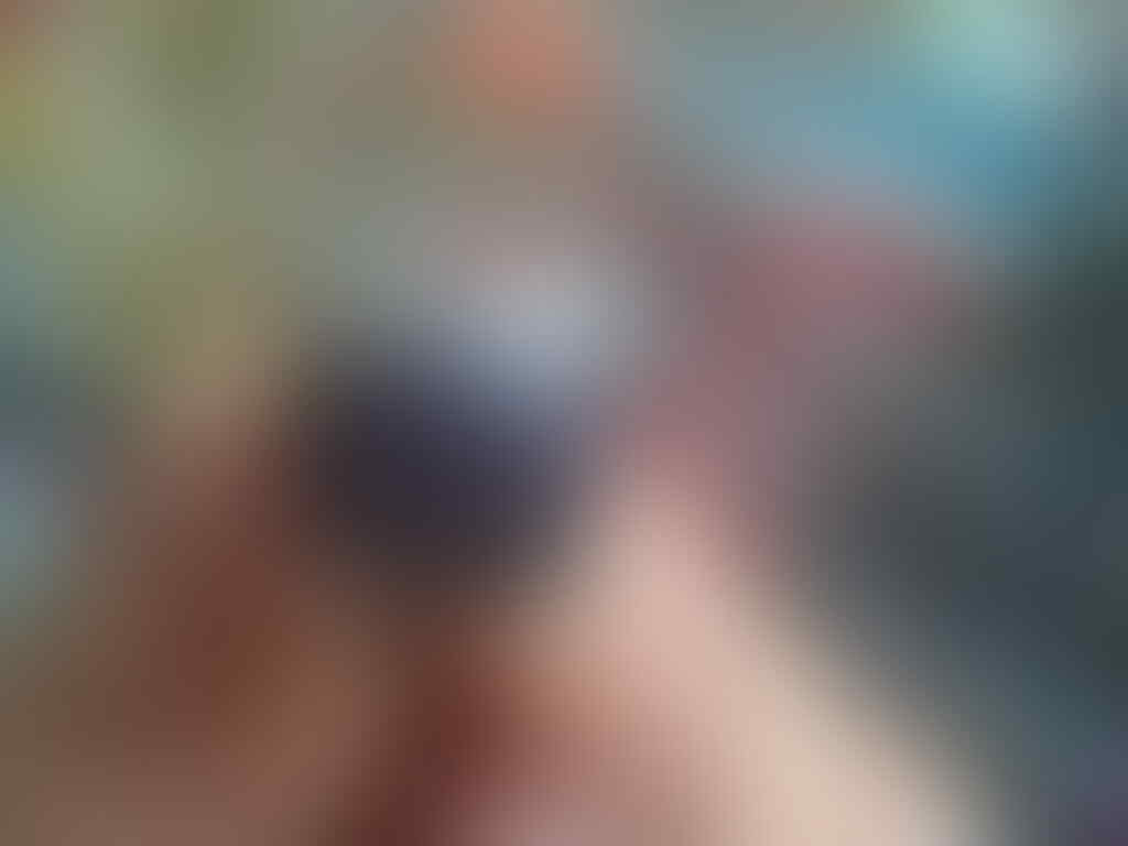 batu kalimaya papua natural nan mistery ring cakar elang
