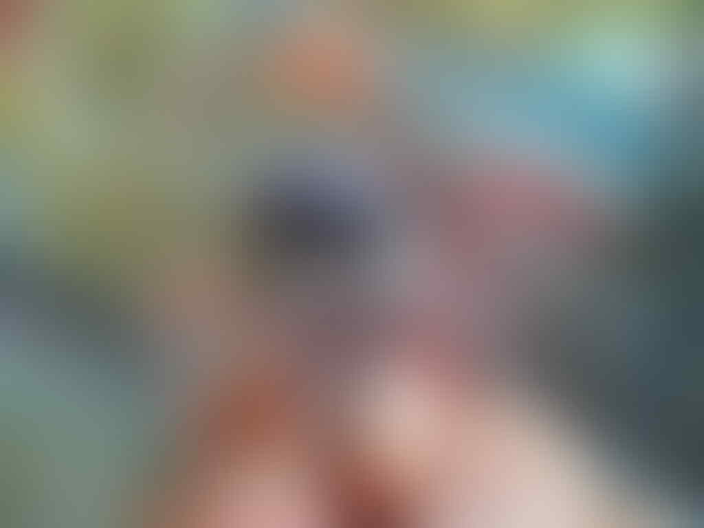 batu kalimaya papua natural nan mistery ring cakar elang