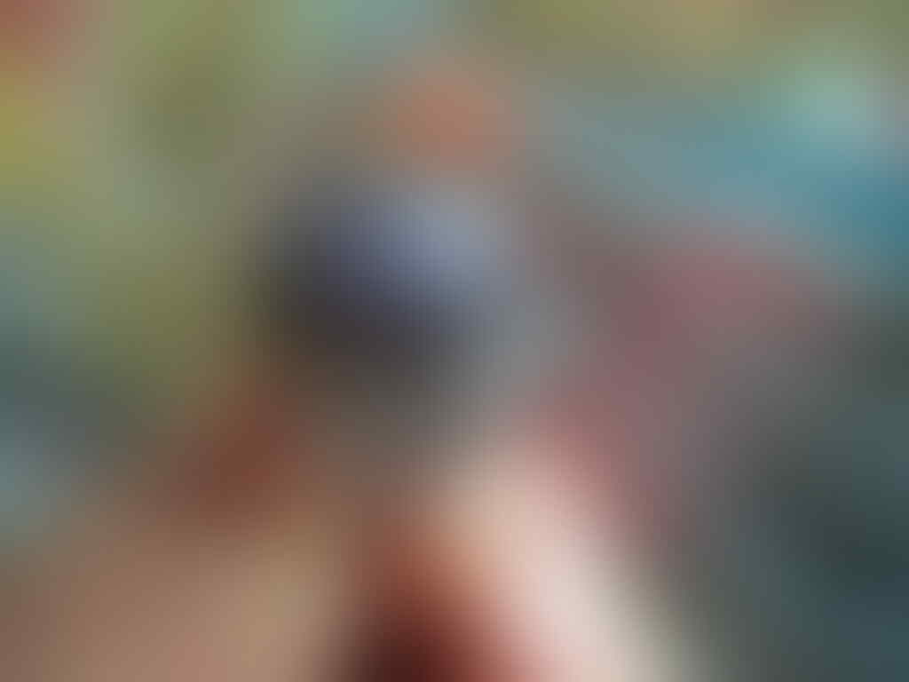 batu kalimaya papua natural nan mistery ring cakar elang