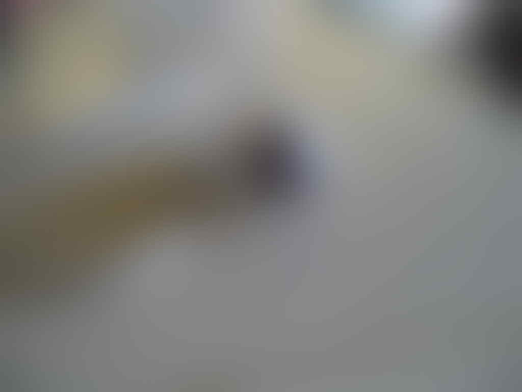 batu kalimaya papua natural nan mistery ring cakar elang