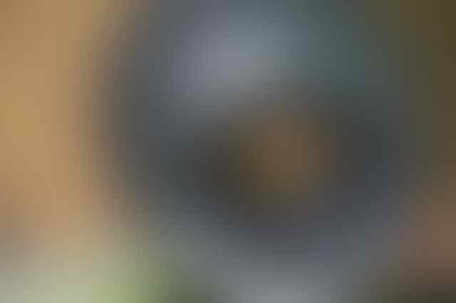 Lensa Sigma 24-70mm F2.8 mulus ngedop Jual cepat bandung