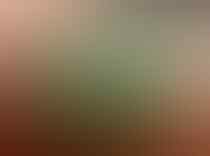Lelang Batu All Item OB 20 Rb. Phantom,Bacan, Jamrud, dll. Closed 09 Feb 21:30