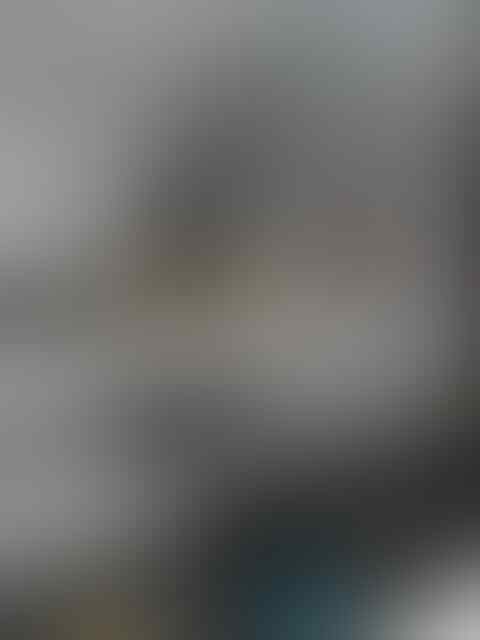 G 14 NTO Farm importir burung paruh bengkok dan kicau