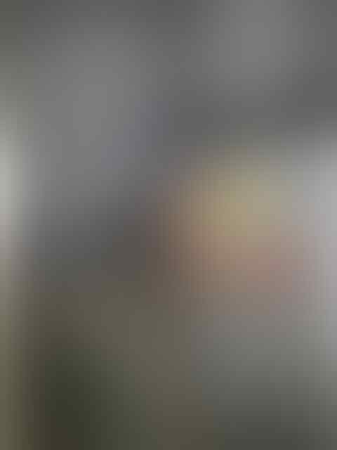 G 14 NTO Farm importir burung paruh bengkok dan kicau