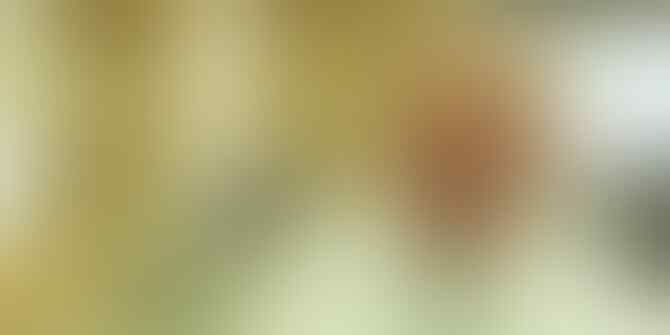 5 Teknologi Indonesia Yang Terkenal di Dunia