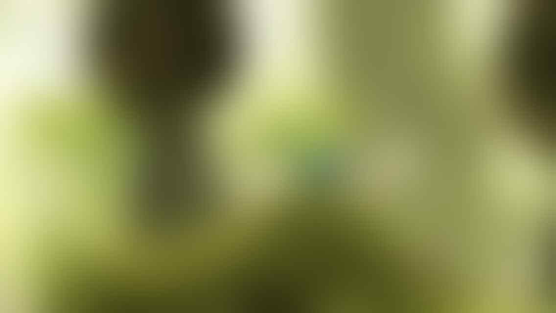 9 Android Game menarik yg patut kamu coba (di ios jg ada kok)