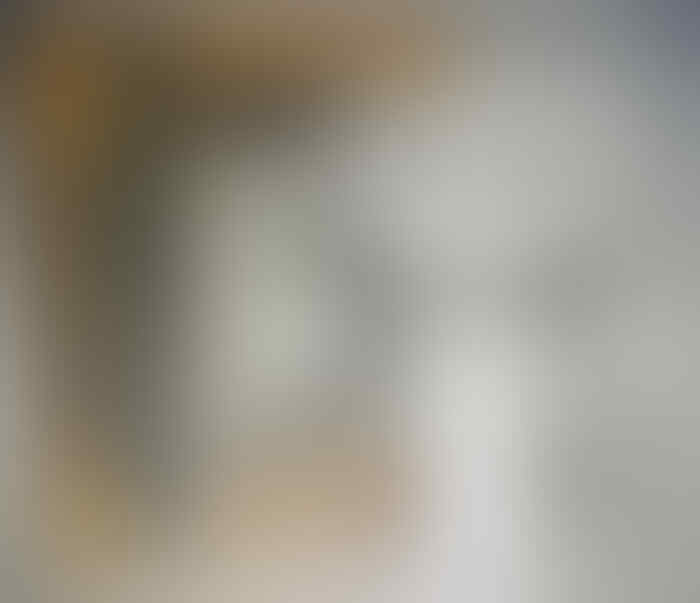 Peluang Usaha Reseller Danbo Penghasilan 3juta Setiap Bulan