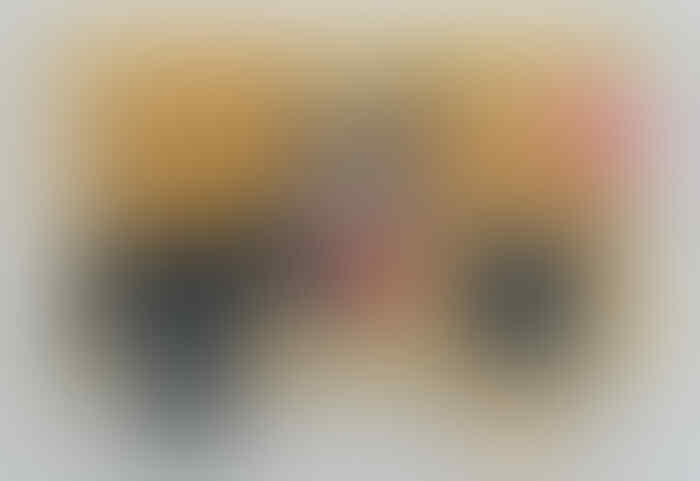 Peluang Usaha Reseller Danbo Penghasilan 3juta Setiap Bulan