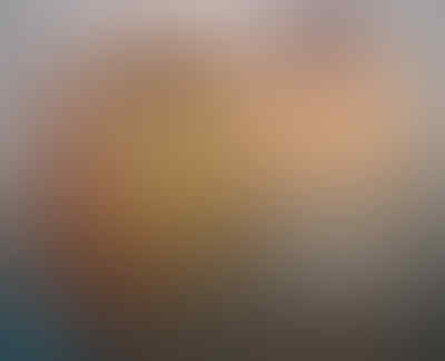 Peluang Usaha Reseller Danbo Penghasilan 3juta Setiap Bulan