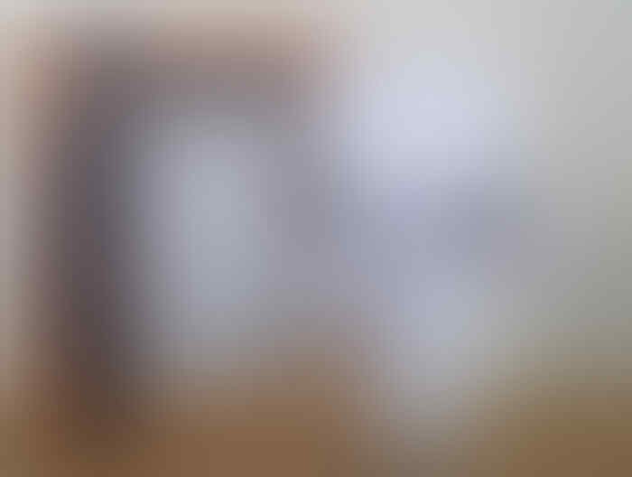 Peluang Usaha Reseller Danbo Penghasilan 3juta Setiap Bulan