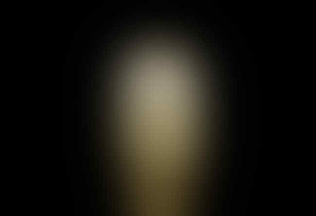 63 Gambar Burung Hantu Seram Hitam Putih Paling Bagus Gambar Pixabay