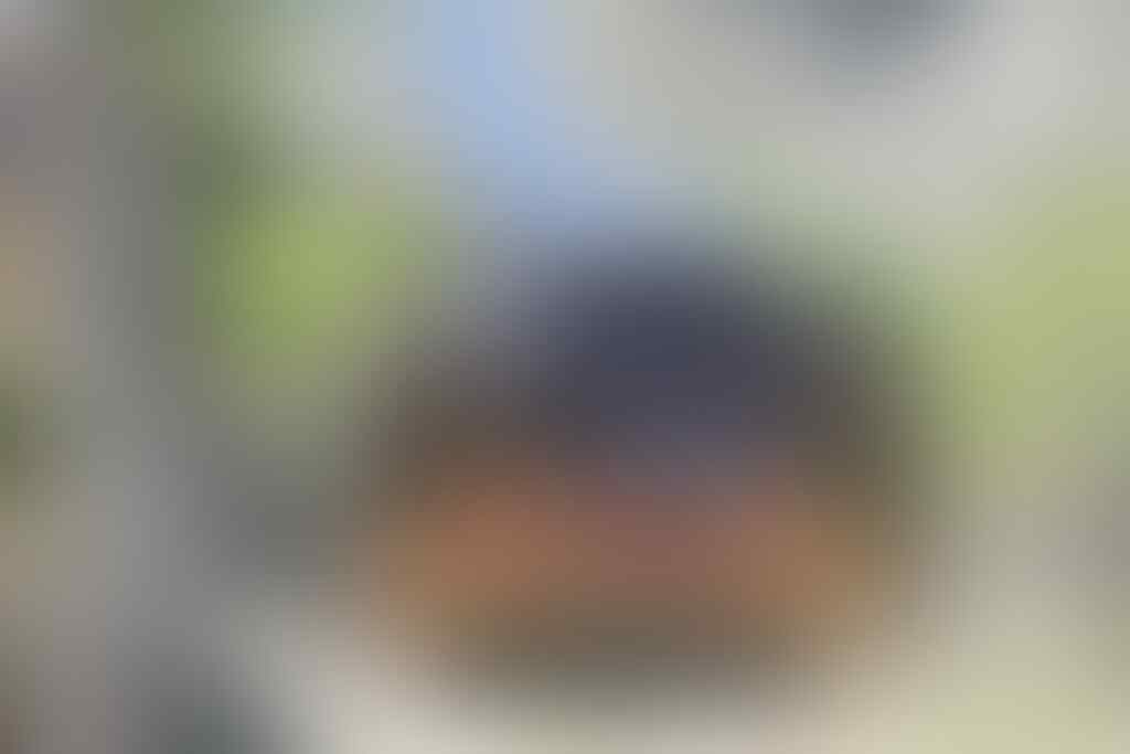 kaskus-image