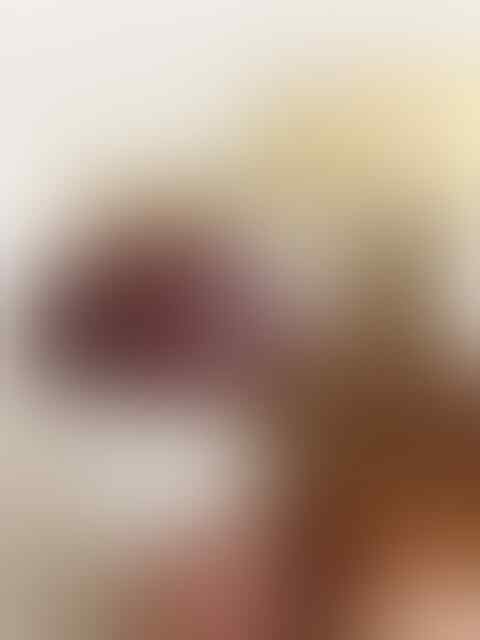 Jual Lumut Merah Baturaja Jumbo Murah