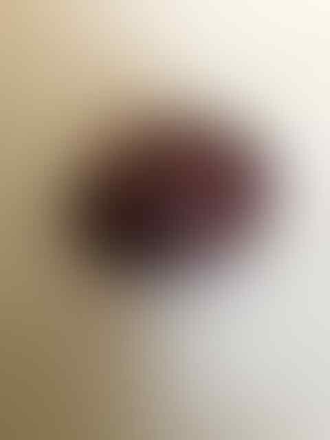 Jual Lumut Merah Baturaja Jumbo Murah