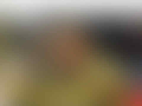 Diminta Suntikkan Sperma, Ahok Takut Kena Tahi Sapi