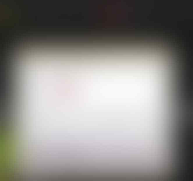 Jual Akun Leecher, Seedbox, ruTorrent Murah Meriah Kapsitas Gajah