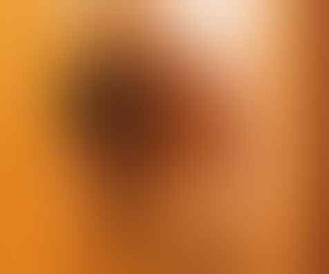 Awas Tertipu, 7 Gambar ini Bikin Salah Fokus!