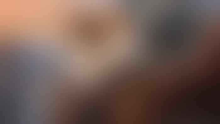 Raden Saleh, "Pangeran Hitam" yang Menaklukkan Eropa