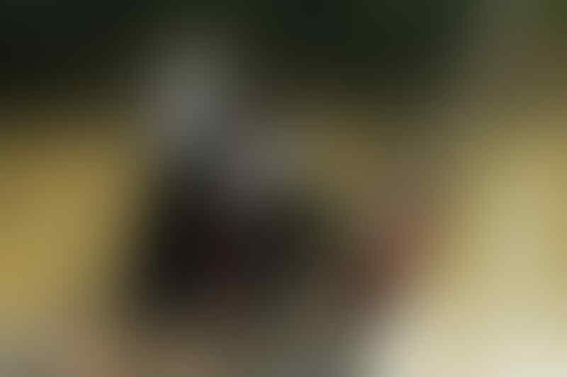 50 Foto Yang Mengajarkanmu Makna Kemanusiaan